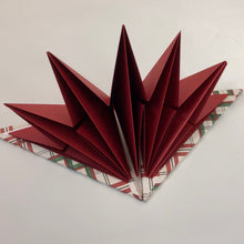Load image into Gallery viewer, Triangle Book